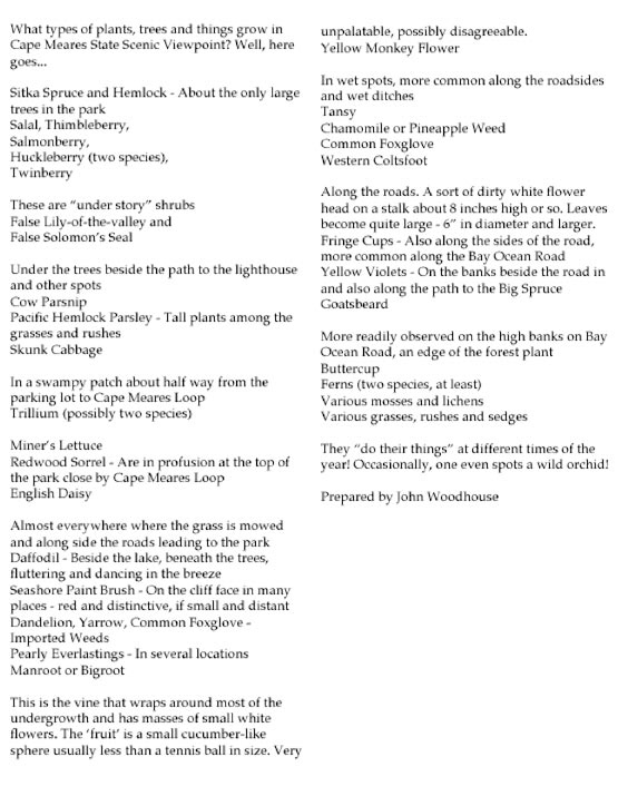 Lighthouse-kids-book-6