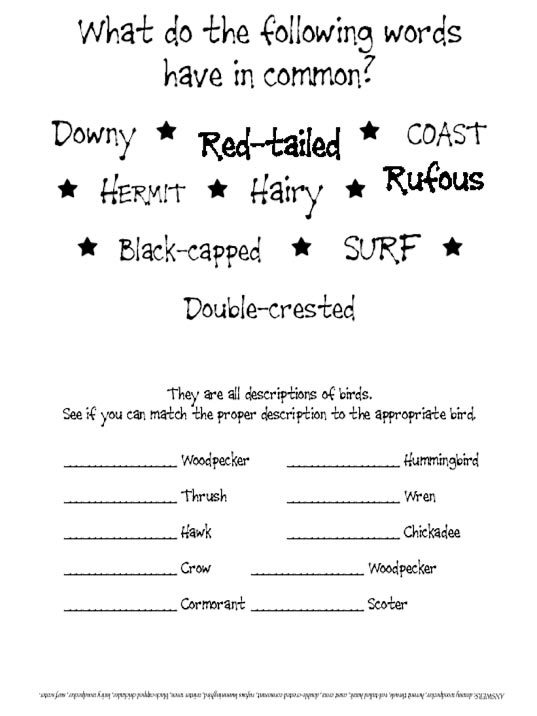 Lighthouse Kids Book 202